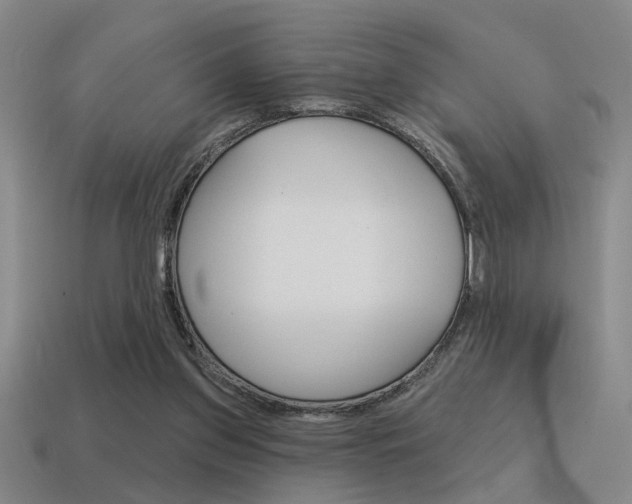 X0000115650157200911101123