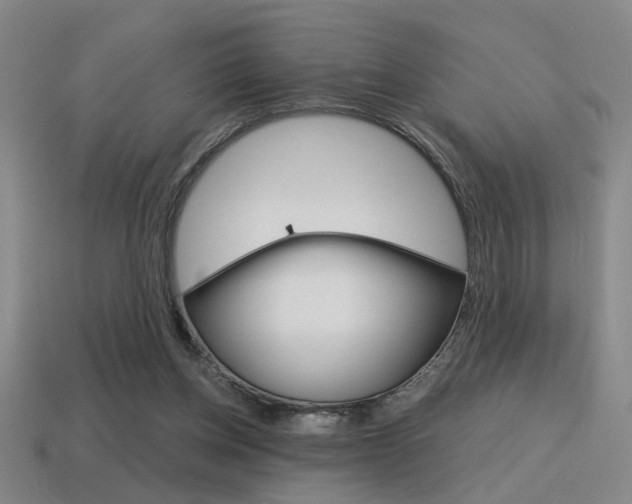 X0000115650158200911101123
