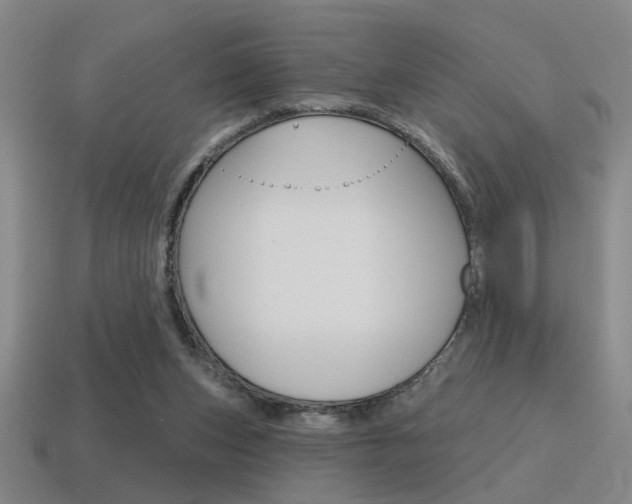 X0000115650159200911101123