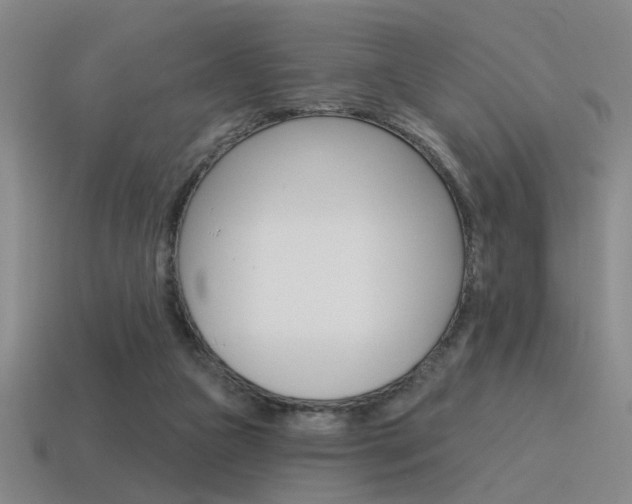 X0000115650161200911101123