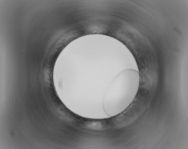 X0000115650162200911101123
