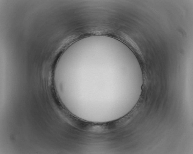 X0000115650163200911101123