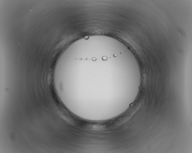 X0000115650165200911101124