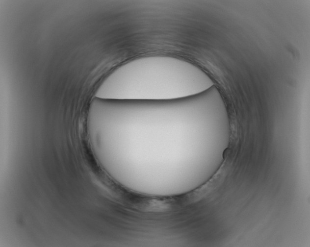 X0000115650166200911101124