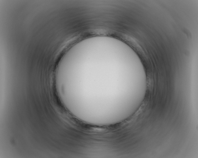 X0000115650167200911101124