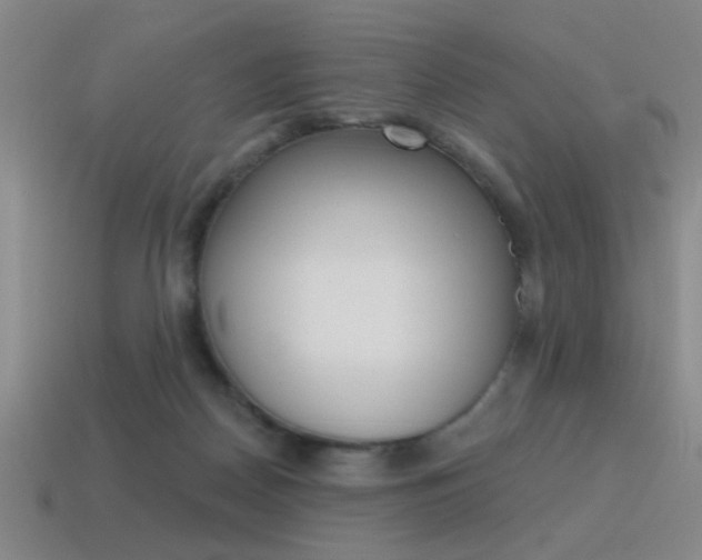 X0000115650170200911101124