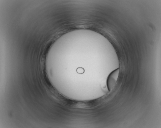 X0000115650171200911101124
