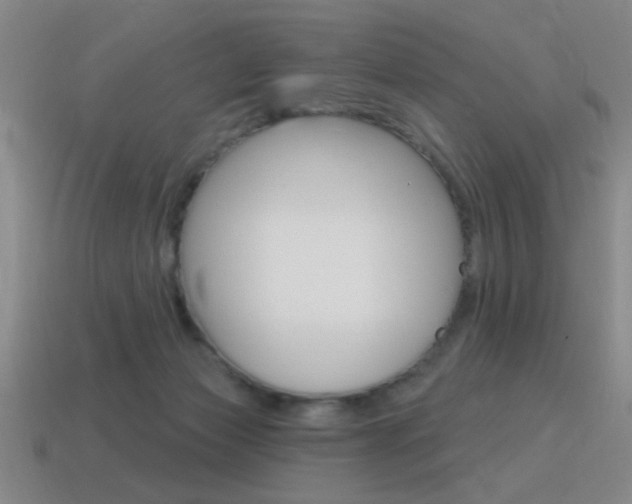 X0000115650173200911101124