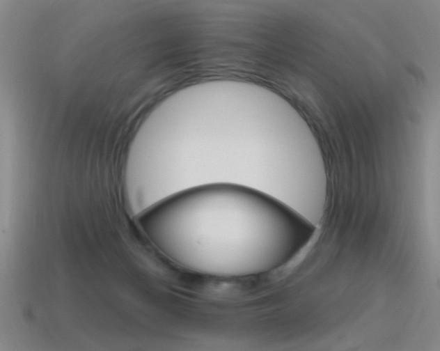 X0000115650174200911101124