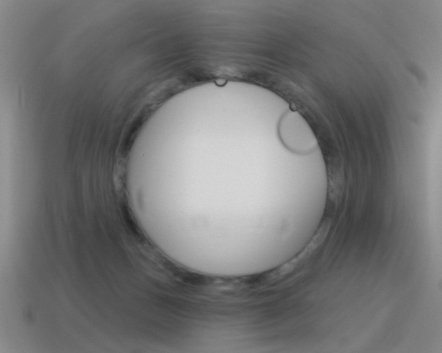 X0000115650175200911101124