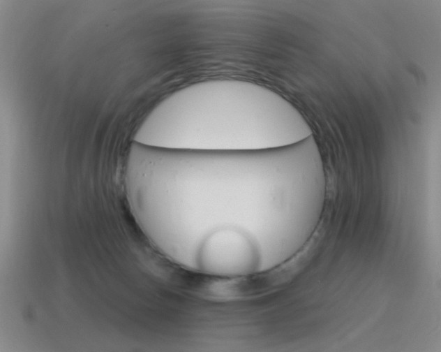 X0000115650178200911101124