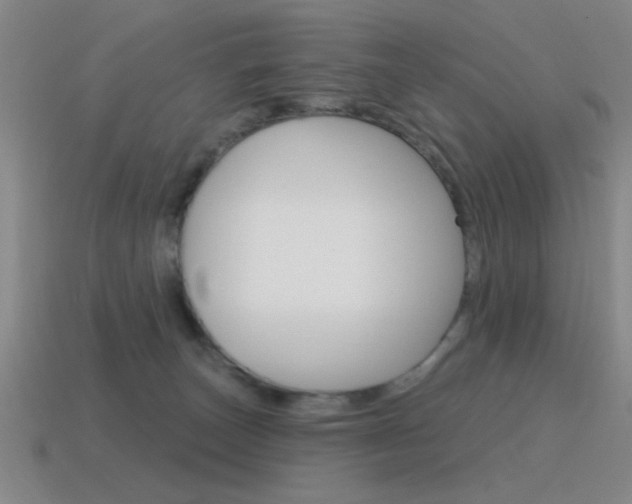 X0000115650179200911101124