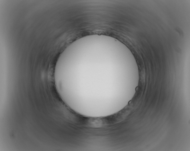 X0000115650181200911101124