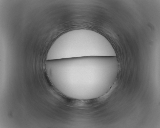 X0000115650182200911101124