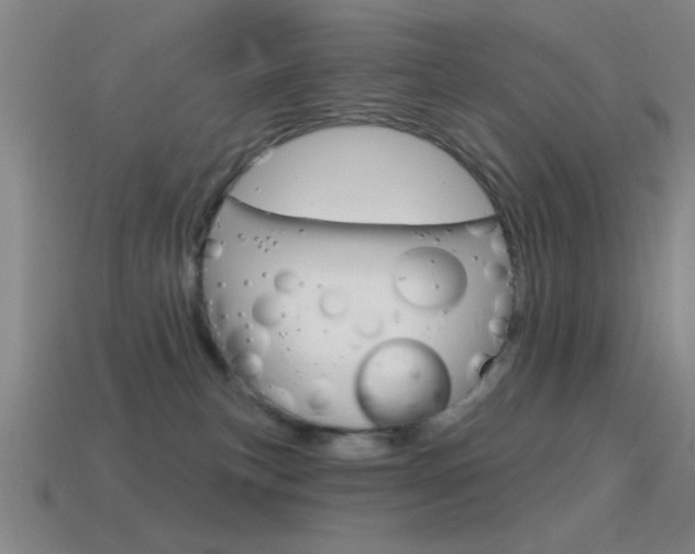 X0000115650183200911101124