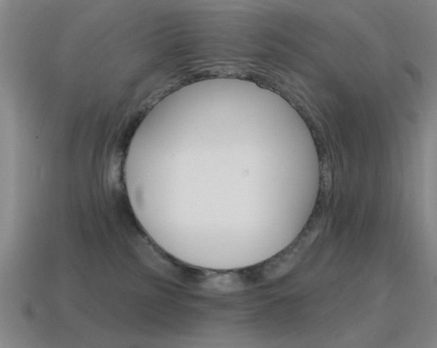 X0000115650185200911101124