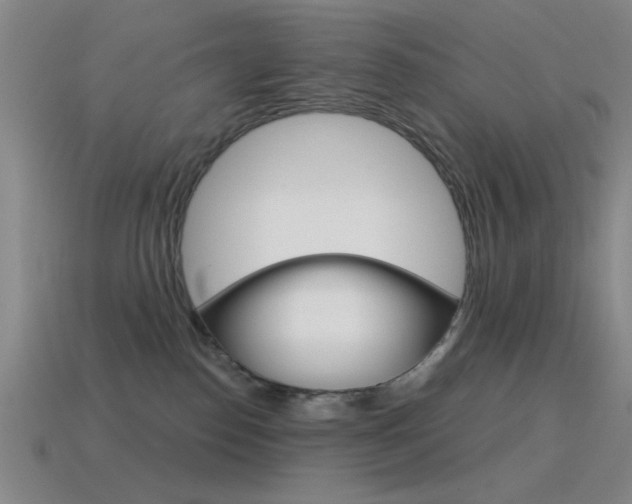X0000115650186200911101124