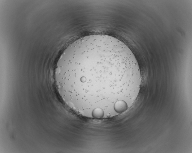 X0000115650187200911101124