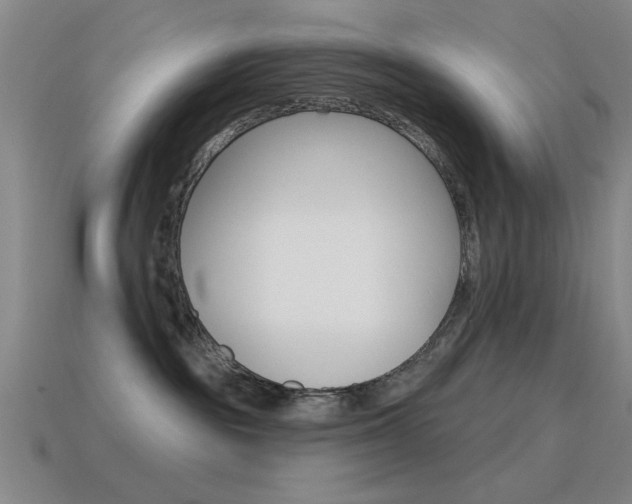 X0000115650189200911101124