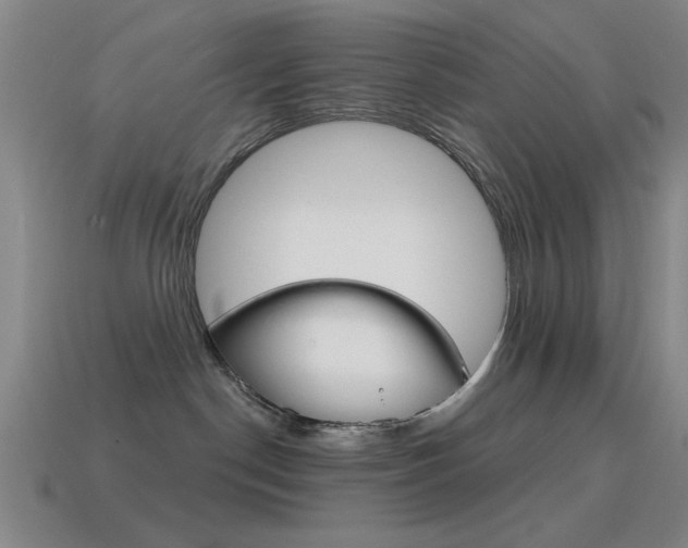 X0000115650190200911101124