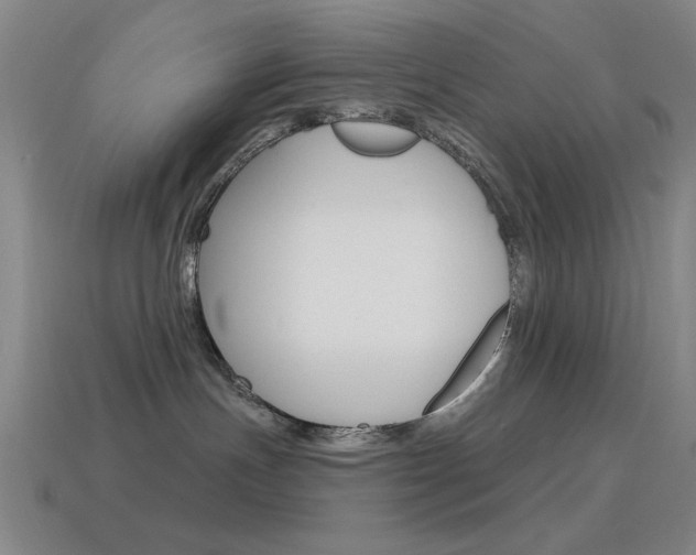 X0000115650191200911101124