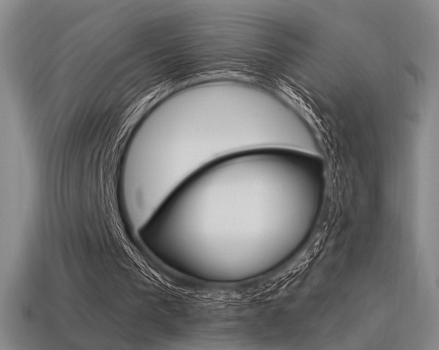 X0000115650193200911101123