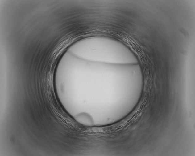 X0000115650194200911101123