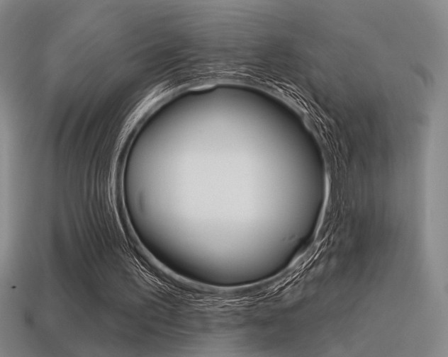 X0000115650195200911101123