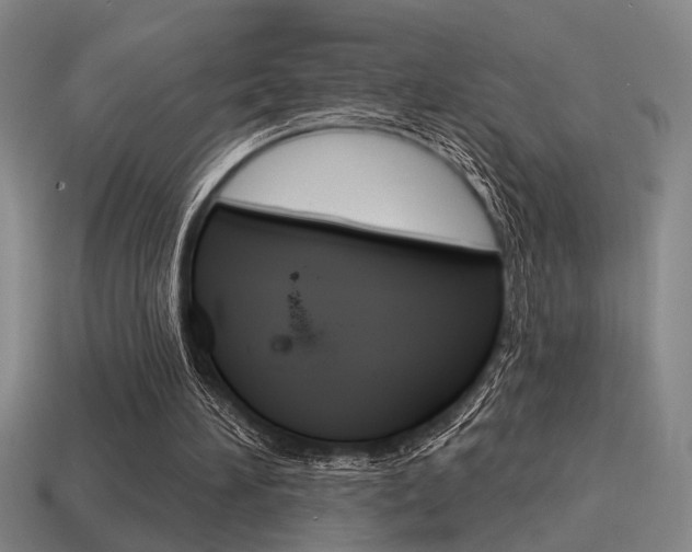 X0000115650196200911101123