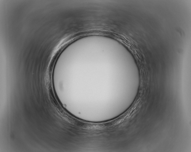X0000115650198200911101123