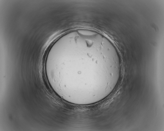 X0000115650199200911101123