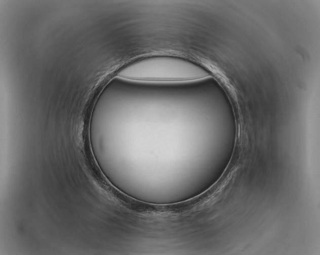 X0000115650201200911101123