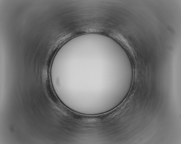 X0000115650202200911101123