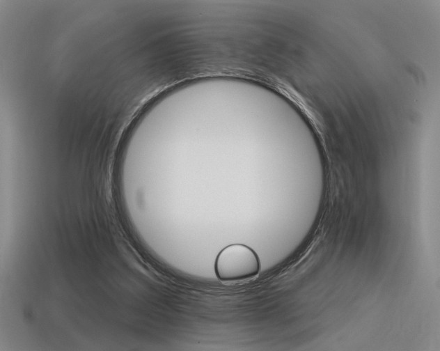 X0000115650203200911101123