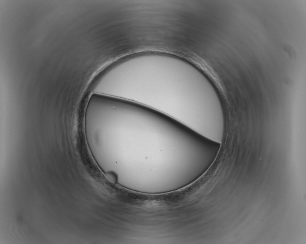 X0000115650204200911101123