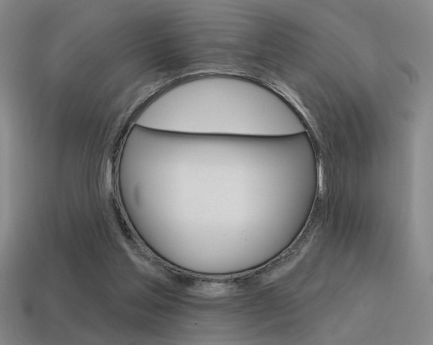 X0000115650205200911101123