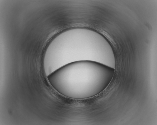 X0000115650207200911101123