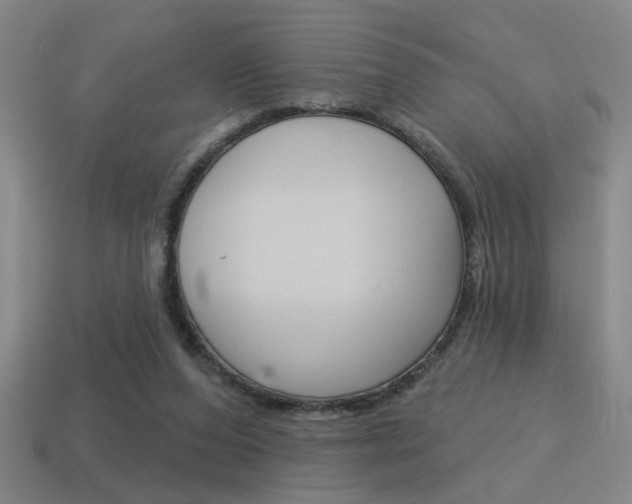 X0000115650208200911101123