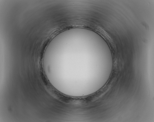 X0000115650209200911101123