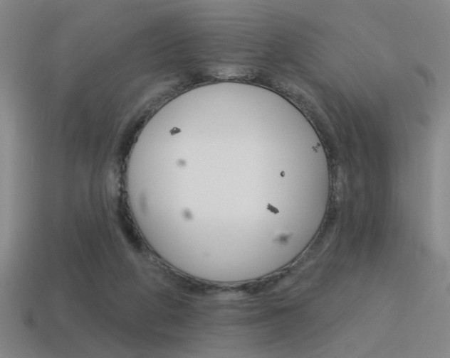 X0000115650210200911101123