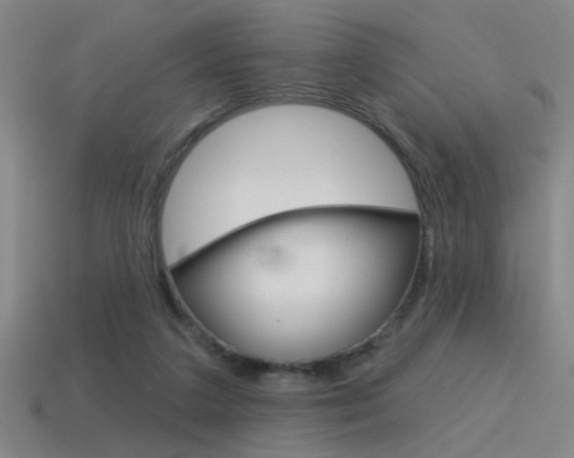 X0000115650211200911101123