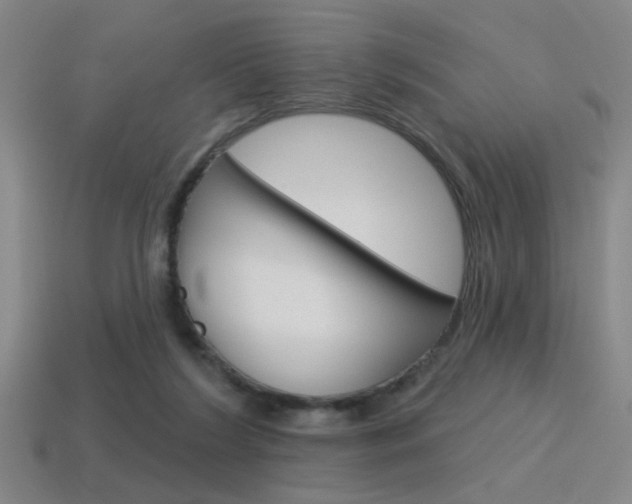 X0000115650212200911101123