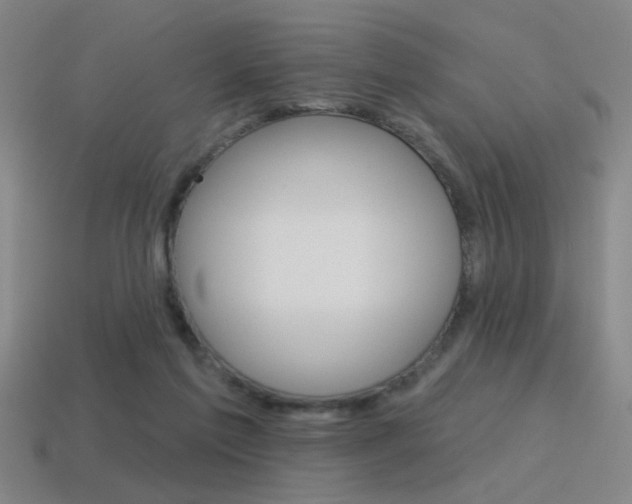 X0000115650213200911101123