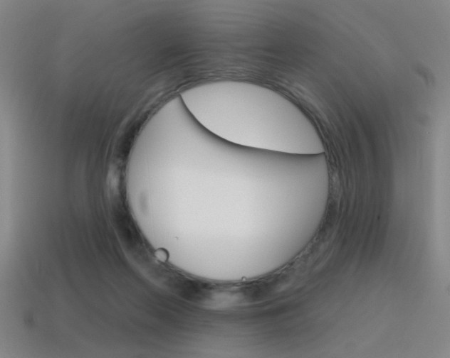 X0000115650214200911101123