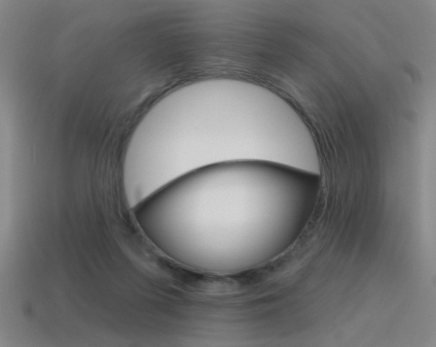 X0000115650215200911101123