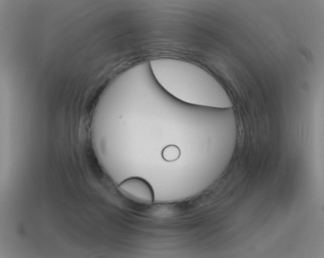 X0000115650218200911101123