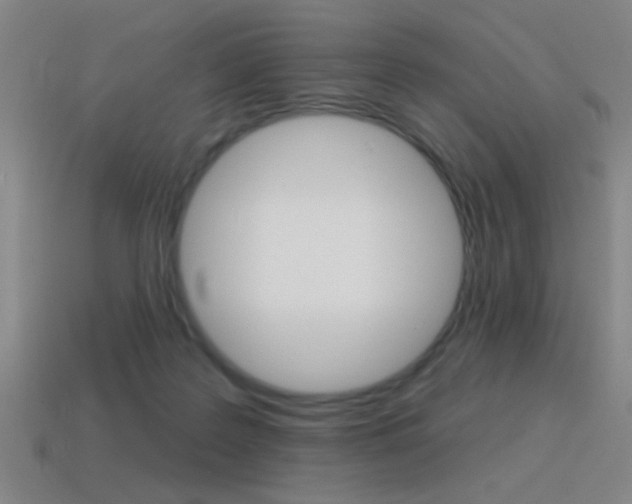 X0000115650219200911101123