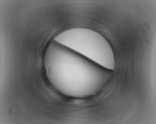 X0000115650220200911101123