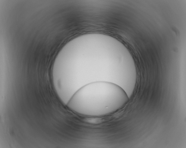 X0000115650221200911101123