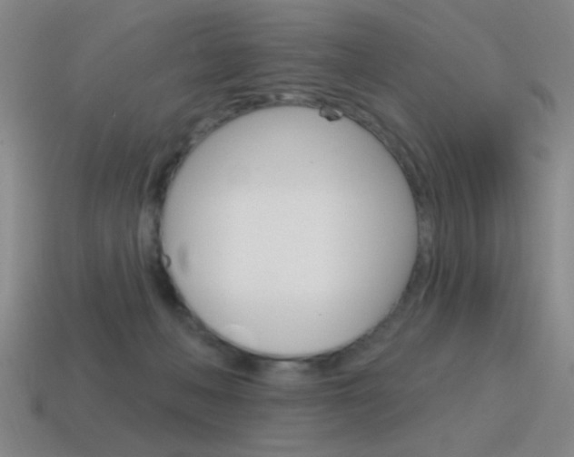 X0000115650222200911101123